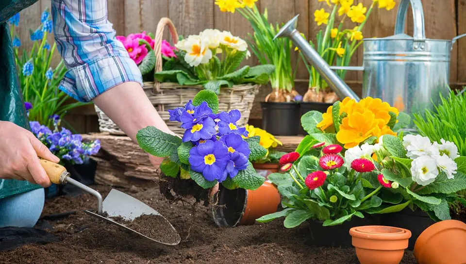 SLOW-GARDENING-1