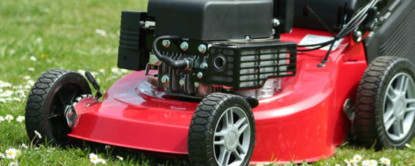 types de robot tondeuse
