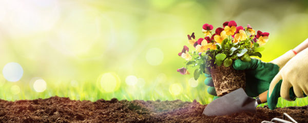 Cultiver son jardin